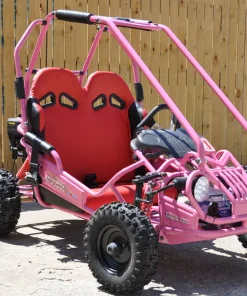 Trailmaster Mini XRX+ Go Kart Buggy, High Back Seats, Adjustable for Younger Riders, Throttle Limiter, Remote Kill No Reverse