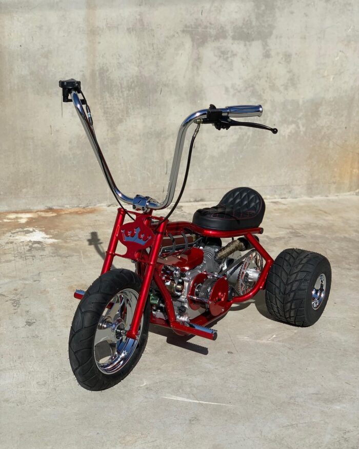 miniviclas-20240520-0013-700x875