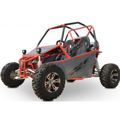 300cc Renegade DX10 Adults Off Road Buggy